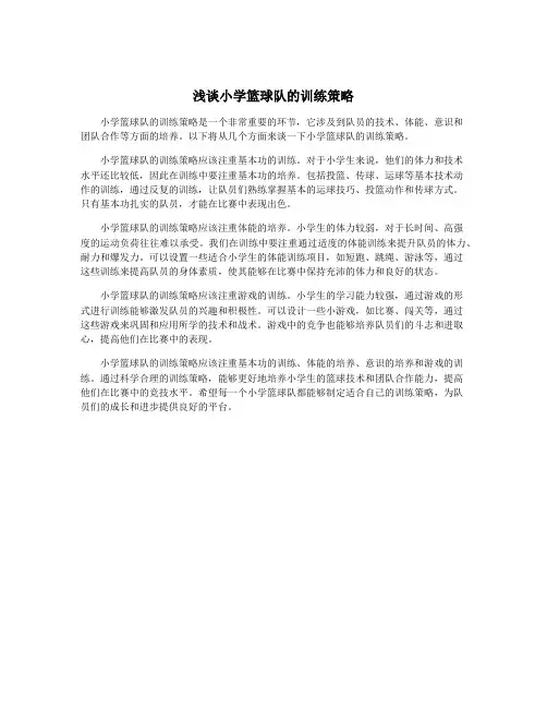 浅谈小学篮球队的训练策略