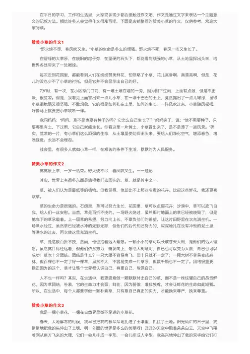 赞美小草的作文（精选15篇）