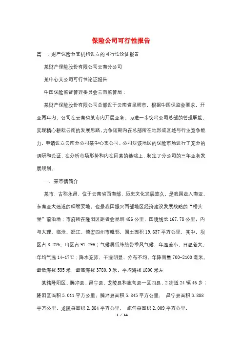 保险公司可行性报告