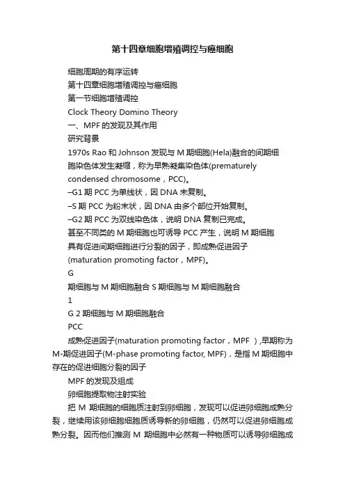第十四章细胞增殖调控与癌细胞