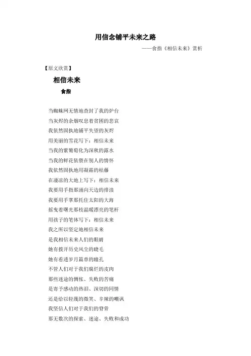 食指《相信未来》赏析