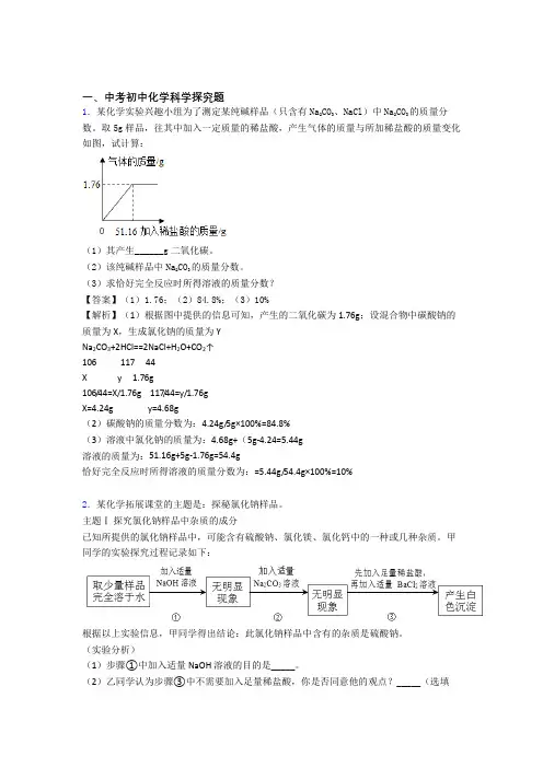 2020-2021备战中考化学探究题提高练习题压轴题训练含答案