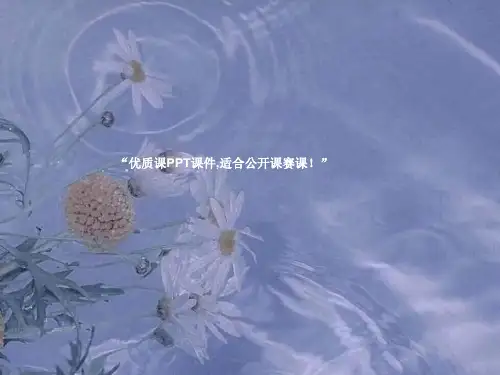 部编六年级上人教《13 只有一个地球》关新蕊PPT课件 一等奖新名师优质课获奖比赛公开免费下载