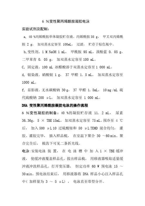 最新省时6 %变性聚丙烯酰胺凝胶电泳