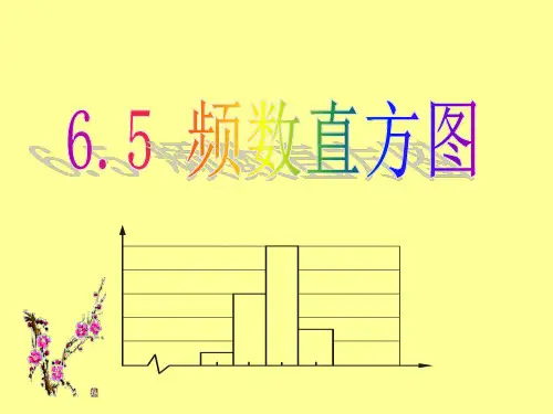 2020-2021学年浙教版初中数学七年级下册 6.5  频数分布直方图   课件 