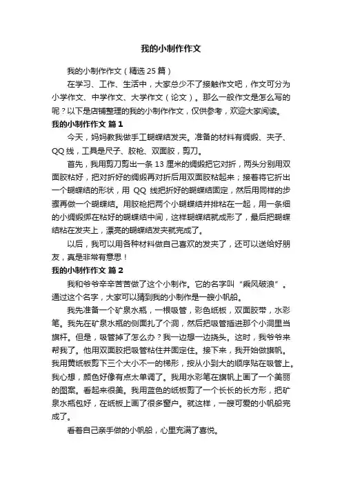 我的小制作作文