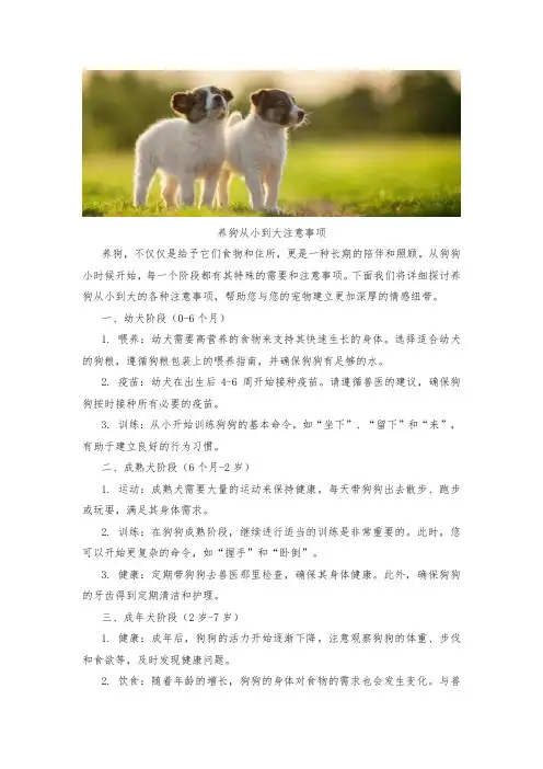 养狗从小到大注意事项