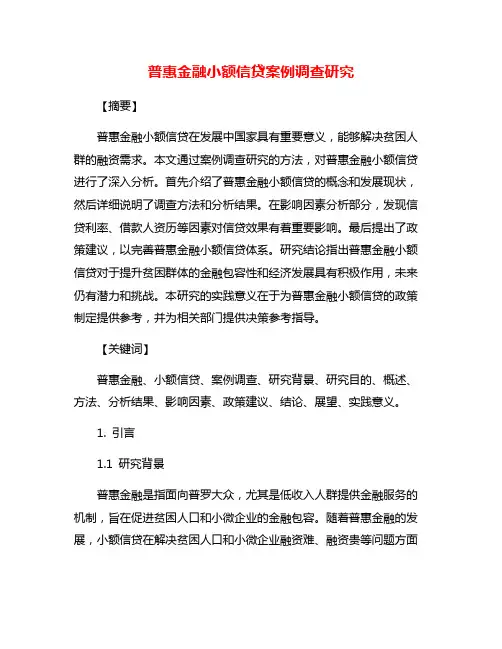 普惠金融小额信贷案例调查研究