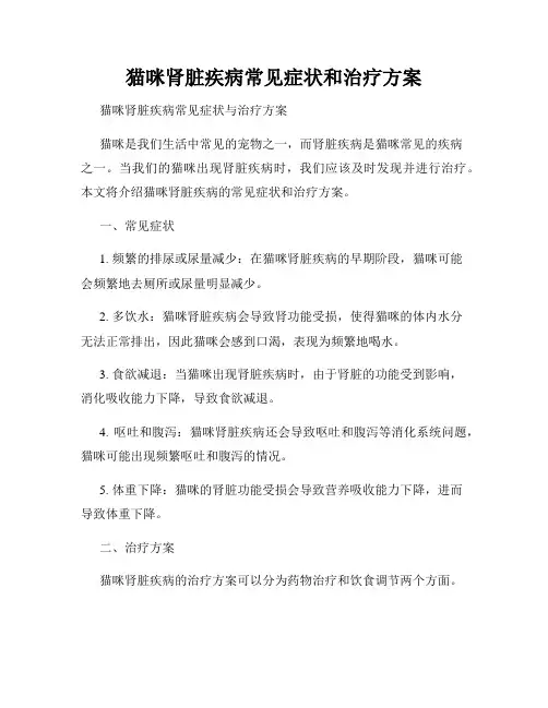 猫咪肾脏疾病常见症状和治疗方案