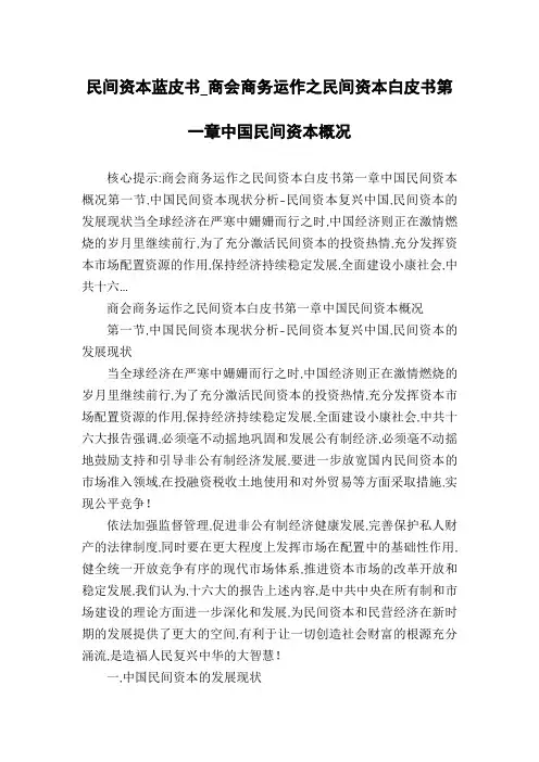 民间资本蓝皮书_商会商务运作之民间资本白皮书第一章中国民间资本概况