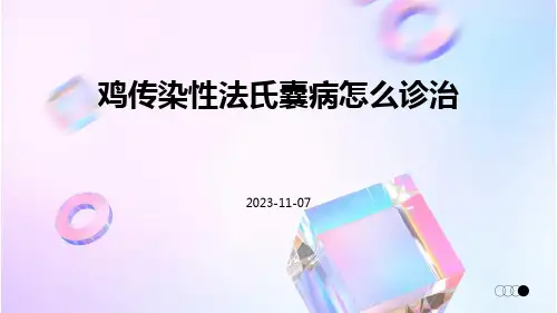 鸡传染性法氏囊病怎么诊治