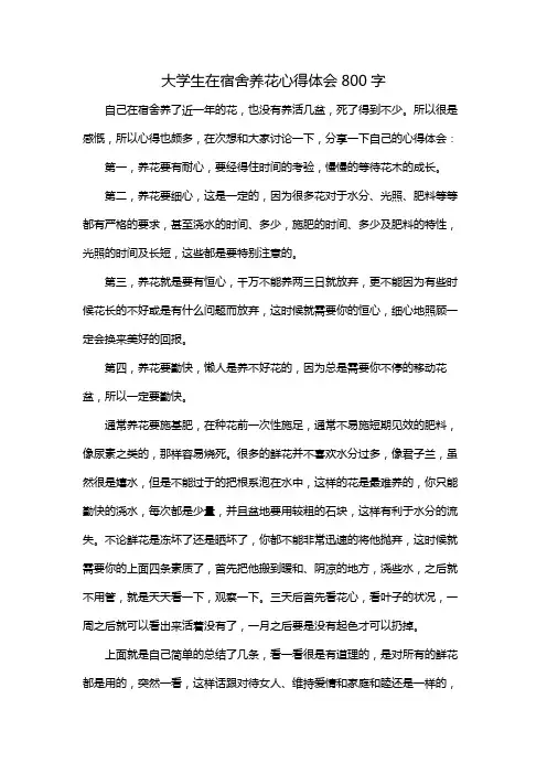 大学生在宿舍养花心得体会800字