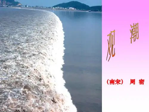 八年级语文第二十八课观潮示范课公开课一等奖课件省赛课获奖课件