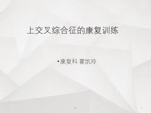 上交叉综合征