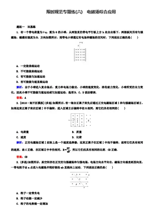 2019届高考一轮限时训练：专题(六)电磁场综合应用(含解析)