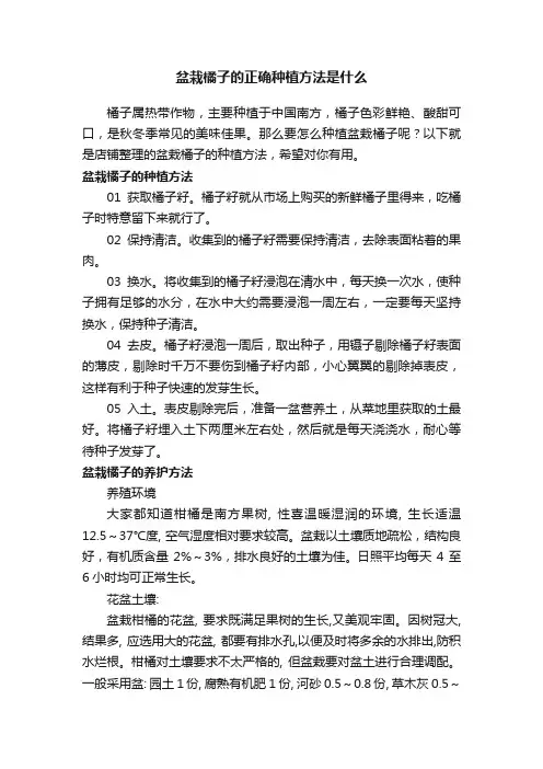 盆栽橘子的正确种植方法是什么