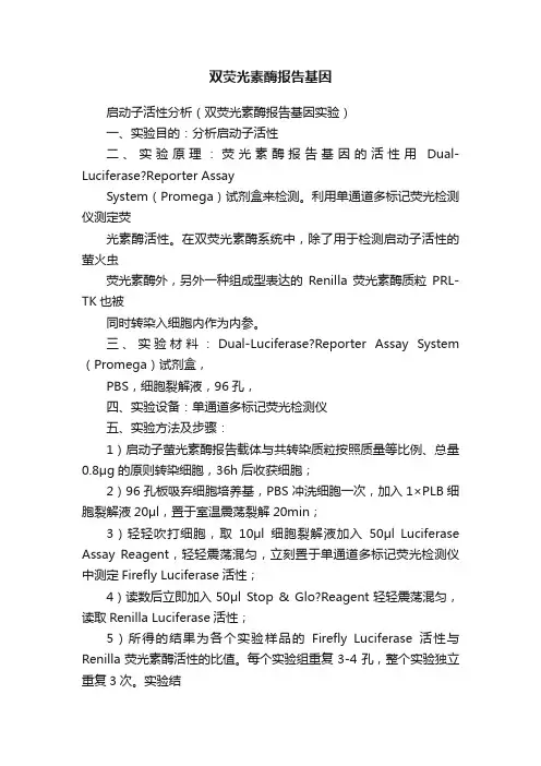 双荧光素酶报告基因