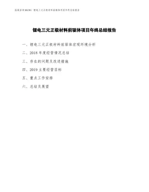 锂电三元正极材料前驱体项目年终总结报告