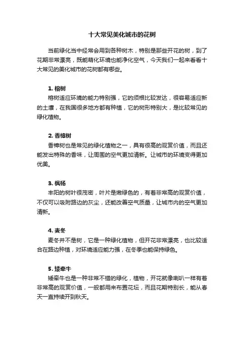 十大常见美化城市的花树