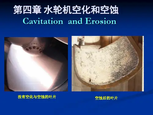 水轮机空化讲稿