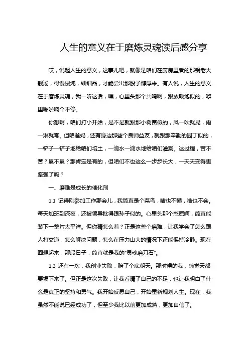 人生的意义在于磨炼灵魂读后感分享