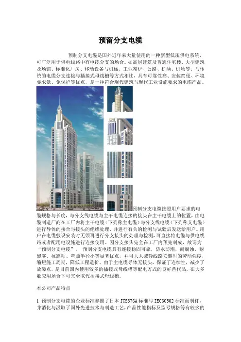 预留分支电缆