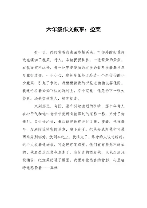 六年级作文叙事：捡菜