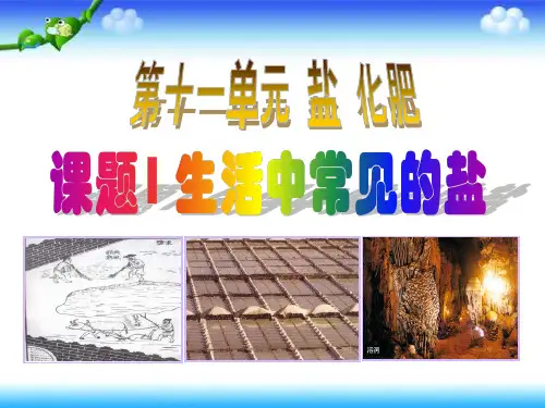 初中化学优质课一等奖《生活中常见的盐》(市级公开课获奖课件)
