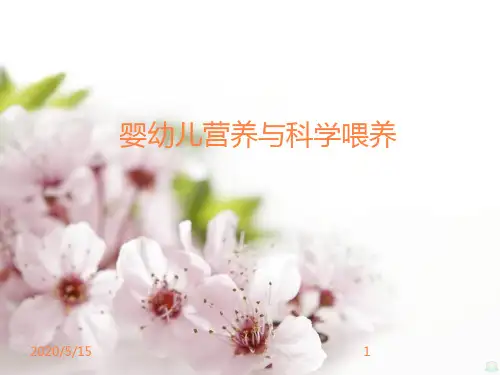 婴幼儿营养与科学喂养ppt课件