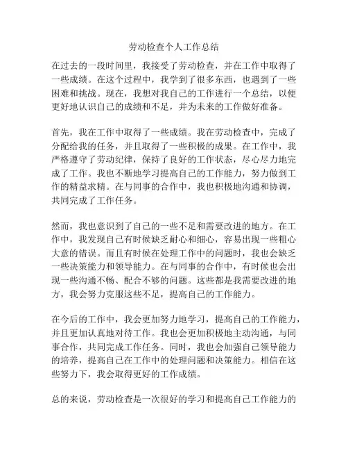 劳动检查个人工作总结