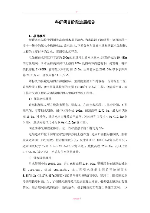 科研项目阶段进展报告