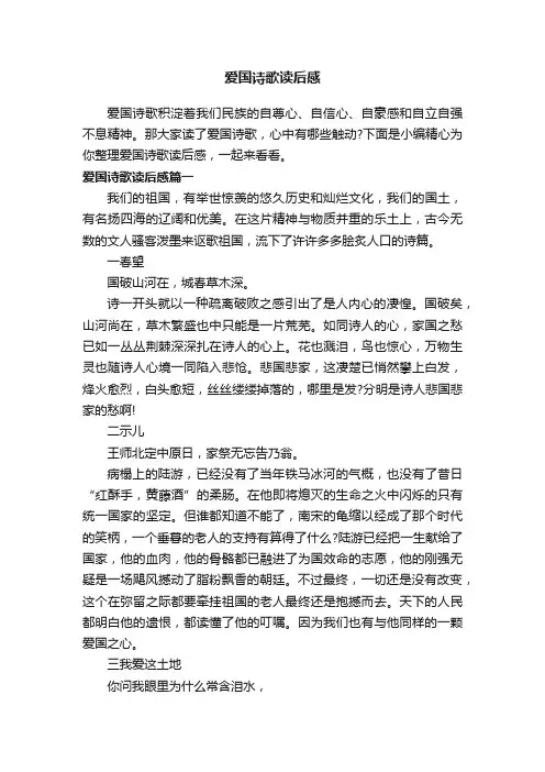 爱国诗歌读后感