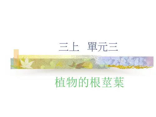 植物的根茎叶