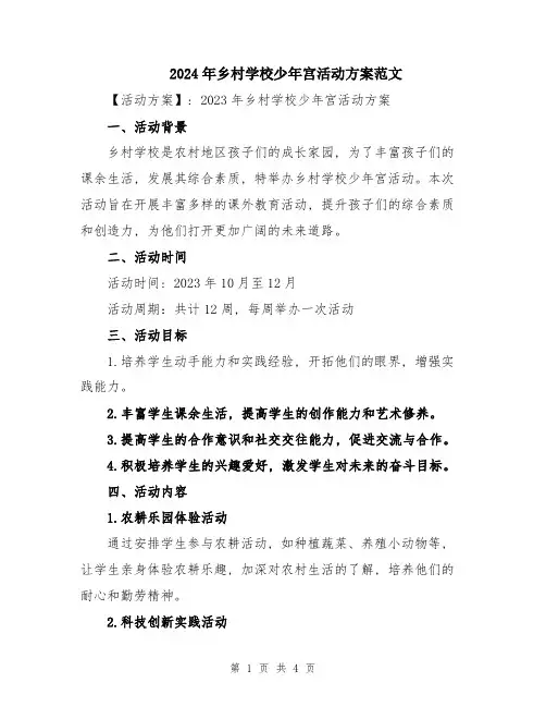 2024年乡村学校少年宫活动方案范文