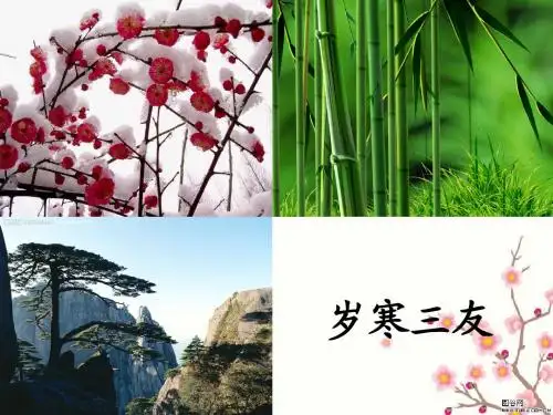 18《青松》