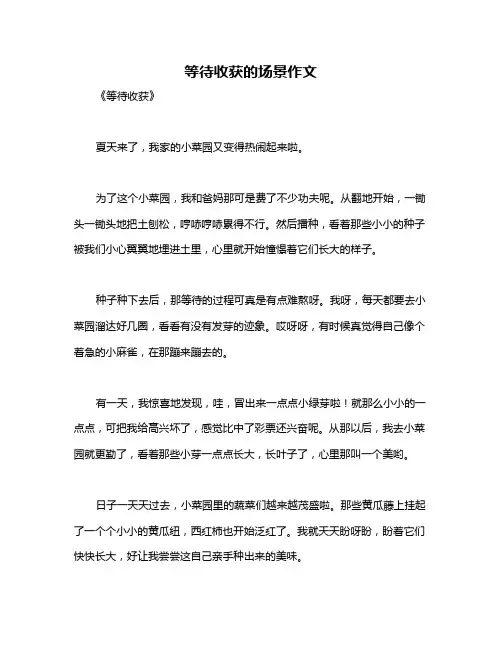 等待收获的场景作文