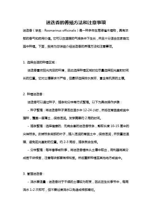 迷迭香的养殖方法和注意事项