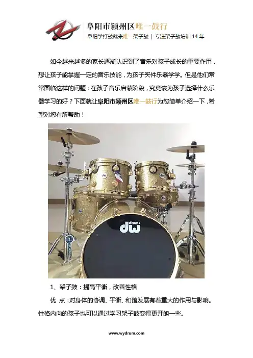 五岁左右的孩子学什么乐器好
