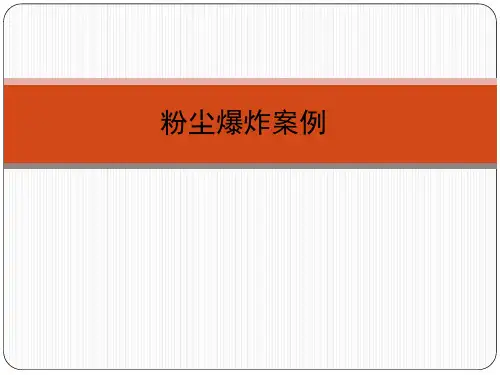 粉尘爆炸案例学习