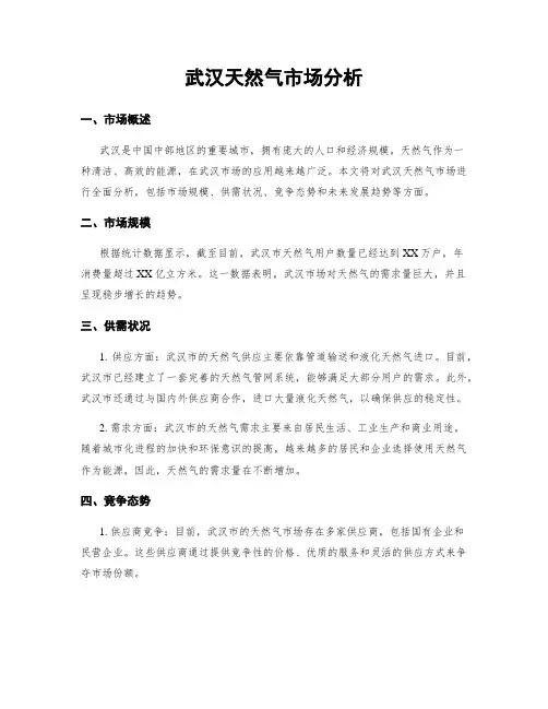 武汉天然气市场分析