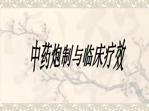 中药炮制及临床疗效