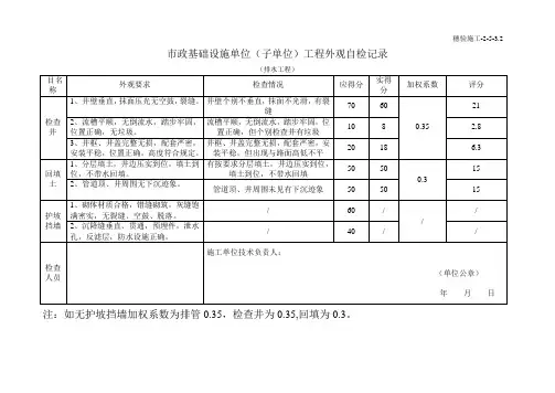 市政-基础设施单位(子单位)工程外观自检记录
