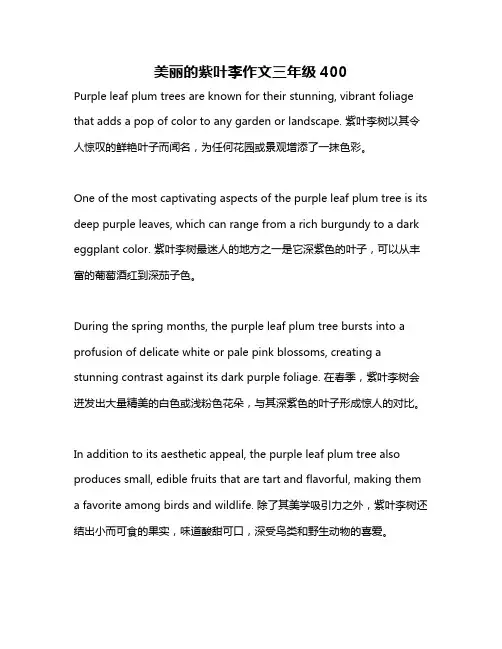美丽的紫叶李作文三年级400