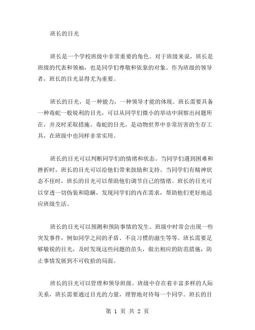班长的目光作文范文