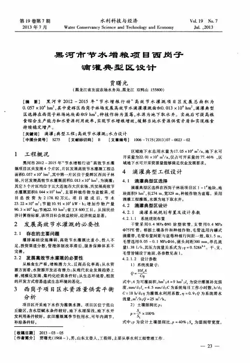 黑河市节水增粮项目西岗子滴灌典型区设计