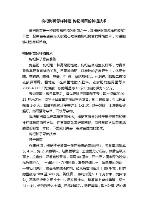 枸杞树苗怎样种植_枸杞树苗的种植技术