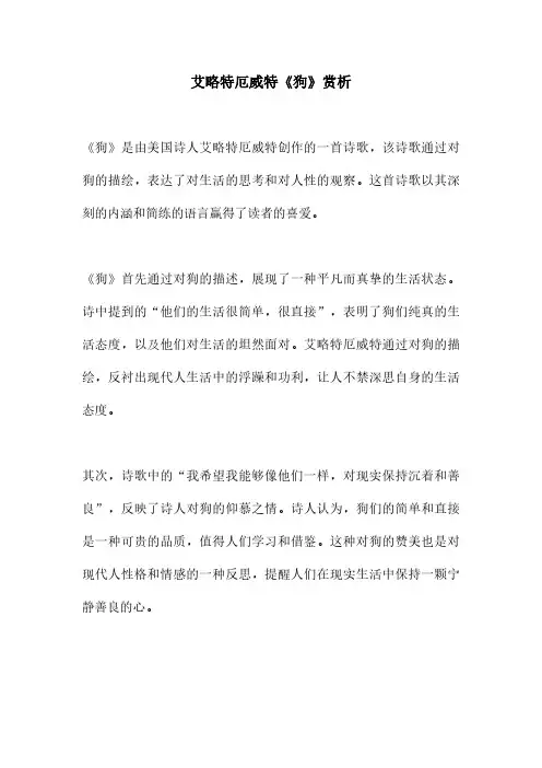 艾略特厄威特《狗》赏析