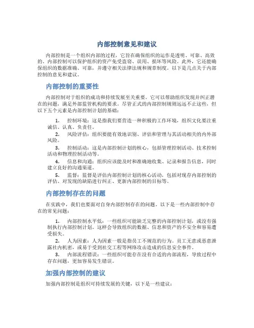 内部控制意见和建议
