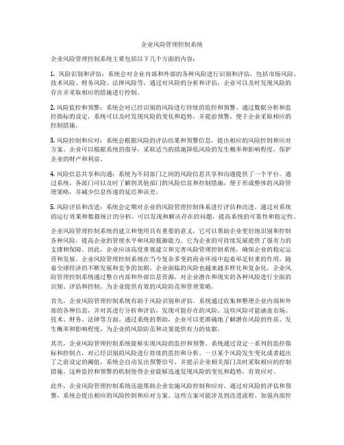 企业风险管理控制系统
