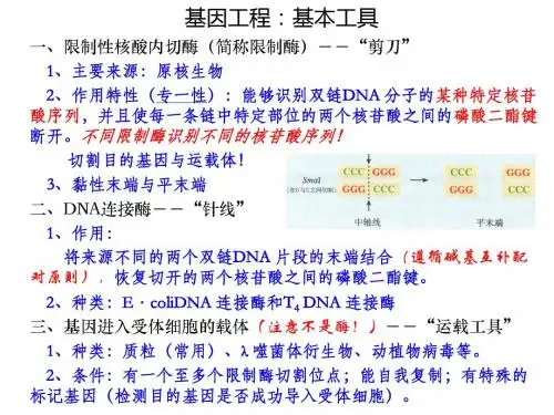 选修III现代生物科技复习课件